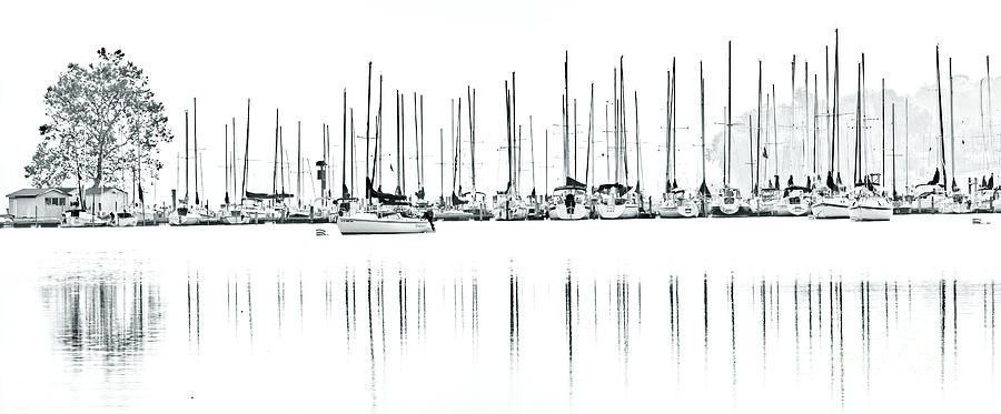 Concord Yacht Club #1 Photograph by Douglas Stucky