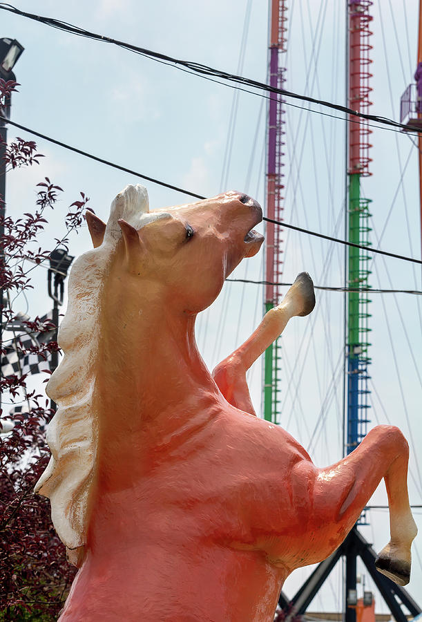 Coney Island  Carousel Horse #1 Photograph by Robert Ullmann