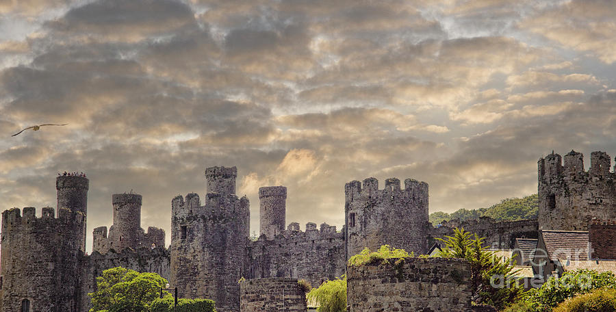 Medieval Conwy castle in Wales Photograph by Patricia Hofmeester