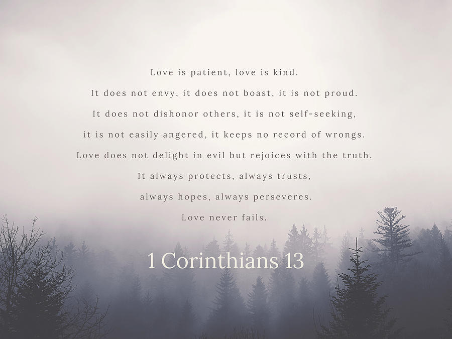 Inspirational Photograph - 1 Corinthians 13 Love is Patient by Toni Grote