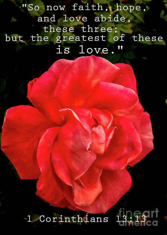 Rose Photograph - 1 Corinthians 13 Verse 13 by Robert Bales