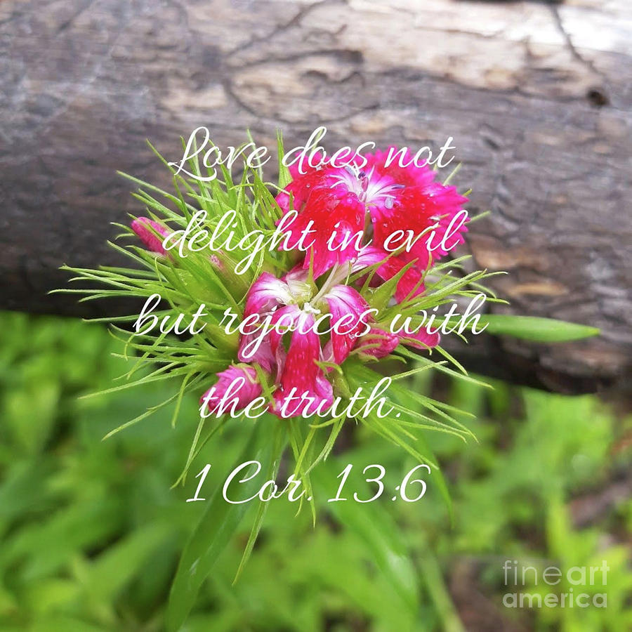 1 Corinthians 13 Verse 6 Photograph By Tony Baca - Pixels