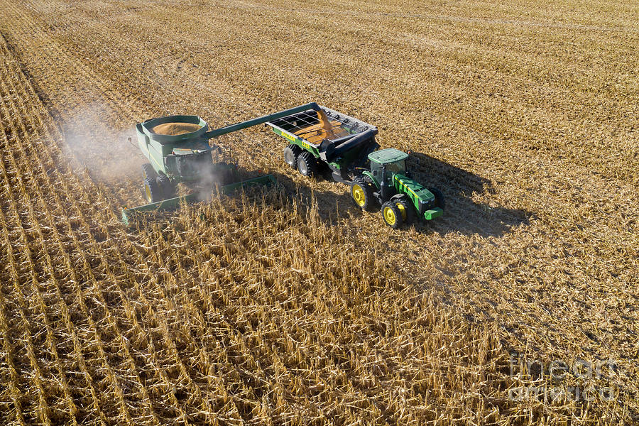 Corn Harvest Photograph by Jim West