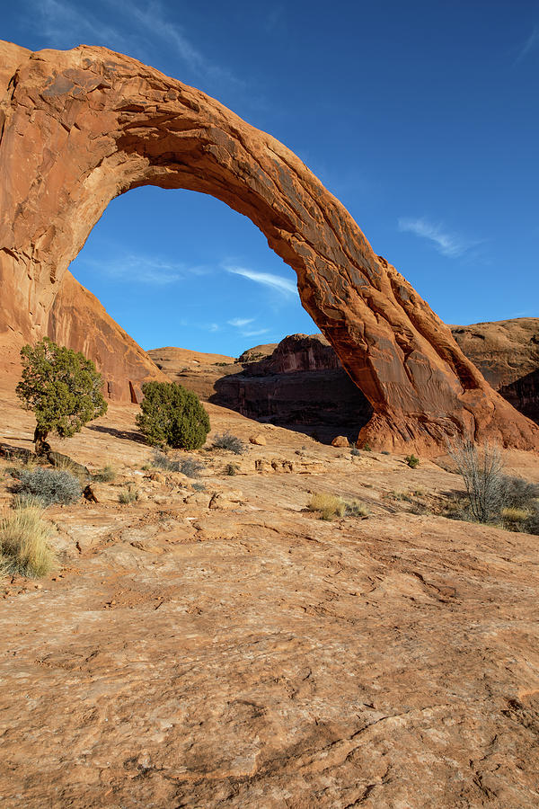 Corona Arch Photograph by James Marvin Phelps - Fine Art America