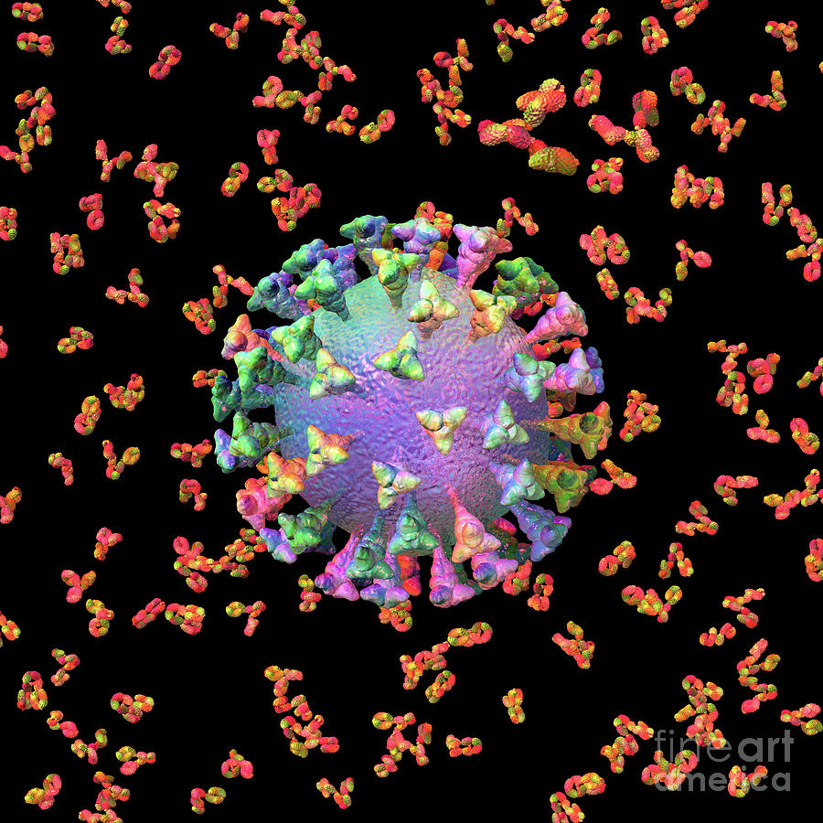 Coronavirus Antibodies Black Digital Art by Russell Kightley