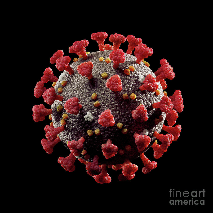 Coronavirus COVID-19 virus particle 3D illustration isolated on  #1 Digital Art by Maxim Images Exquisite Prints