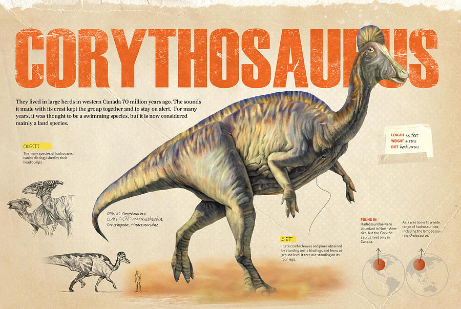 Corythosaurus #1 Digital Art by Album