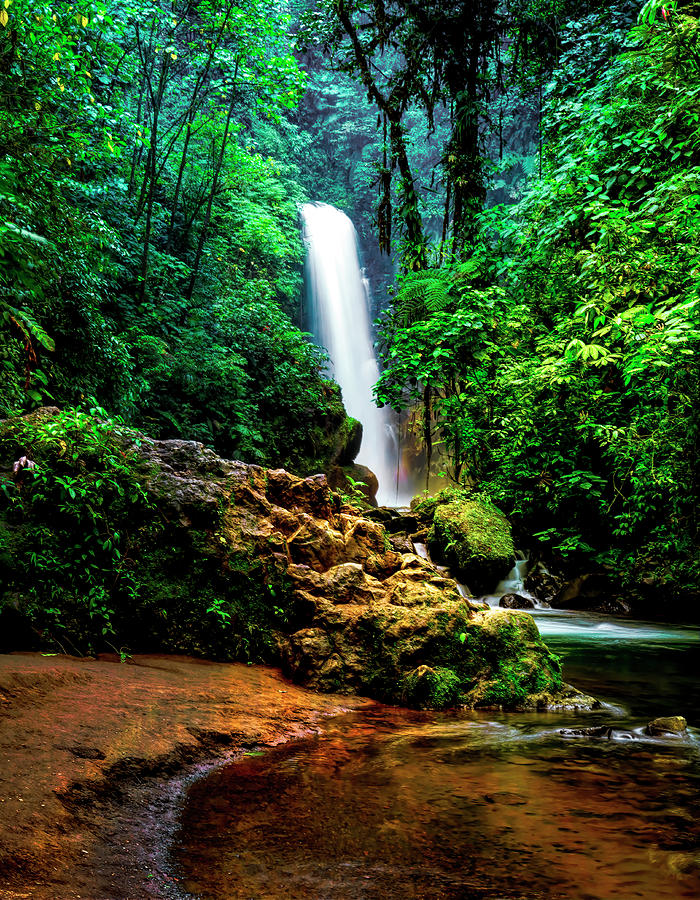 Costa Rica Waterfall #1 Photograph by Lowell Monke
