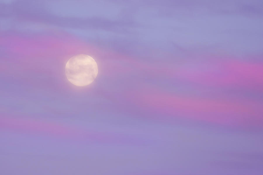 Cotton Candy Moon #1 Photograph by Brook Burling