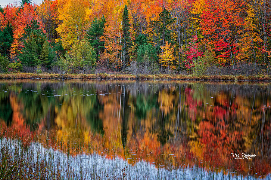 Council Lake Color #1 Photograph by Peg Runyan