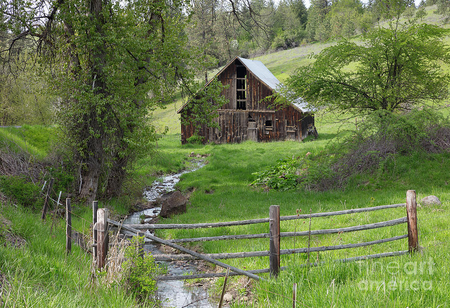 Country Life #1 Photograph by Idaho Scenic Images Linda Lantzy