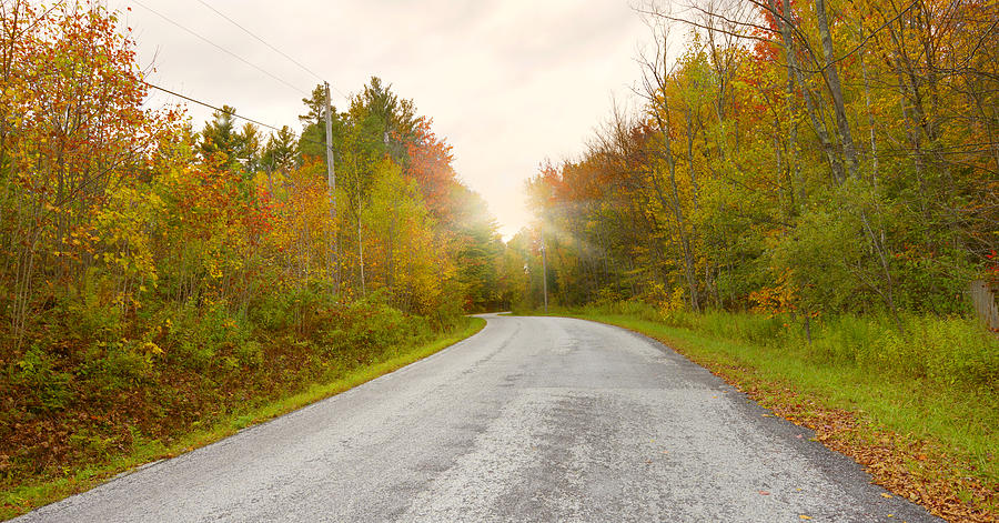 Country Road in Fall, Vermont #1 Photograph by Lisa-Blue