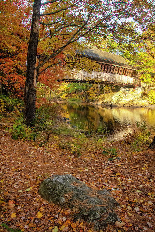 Covered Bridge in Autumn #1 Photograph by Donna Doherty