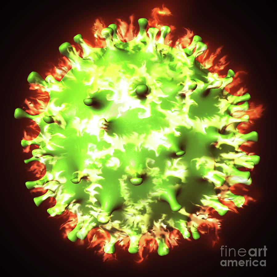 Covid 19 coronavirus on fire #1 Photograph by Benny Marty