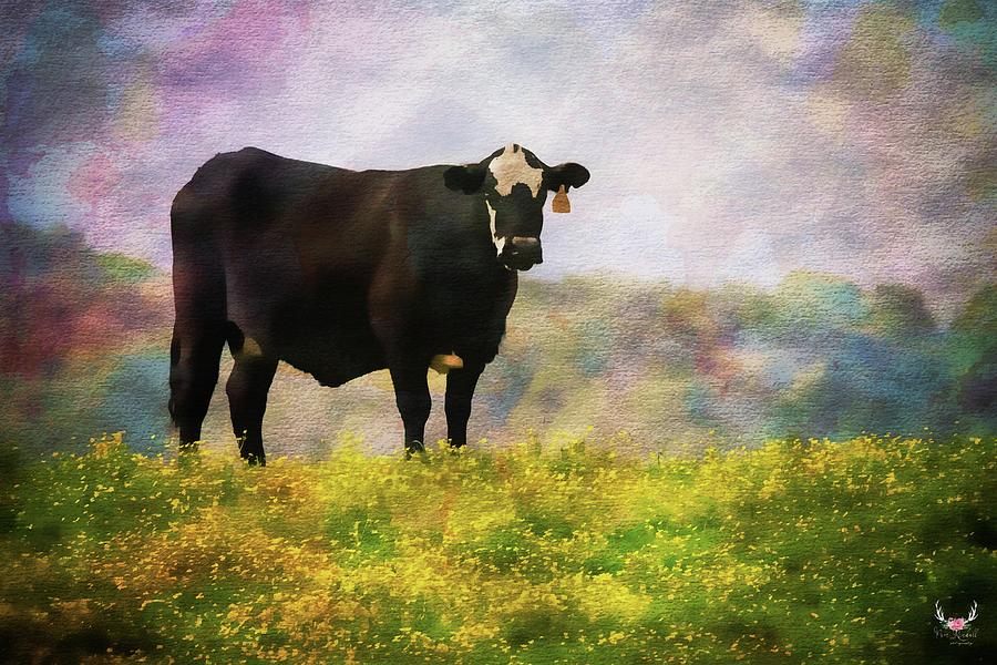 Cow in Wildflowers #1 Photograph by Pam Rendall