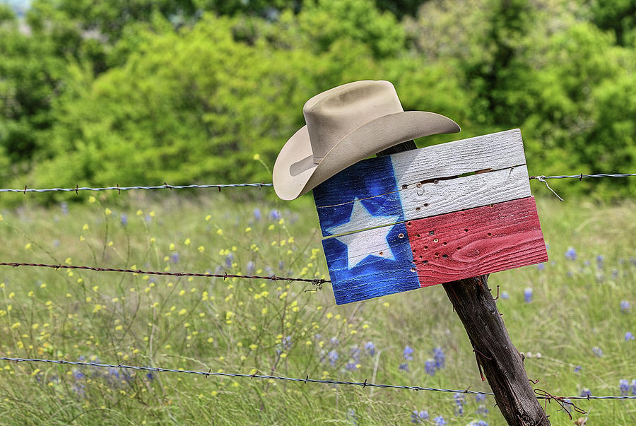 Cowboy Hats and Bluebonnets #1 Photograph by JC Findley