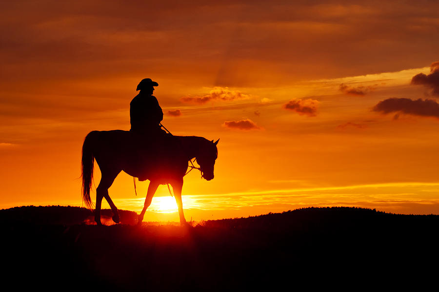 Cowboy rides during the sunset #1 Photograph by Delectus