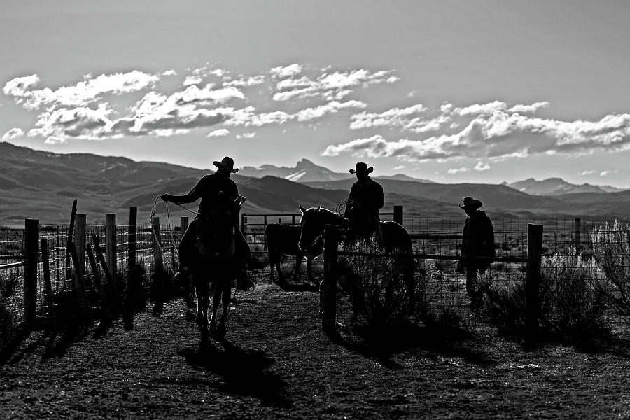 Cowboys at work  #1 Photograph by Julieta Belmont
