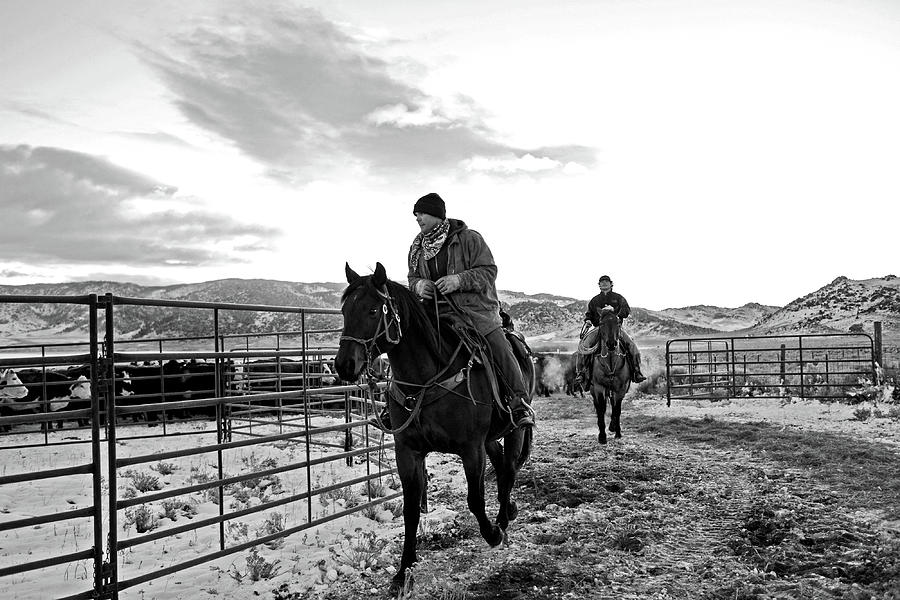 Cowboys on horses #2 Photograph by Julieta Belmont
