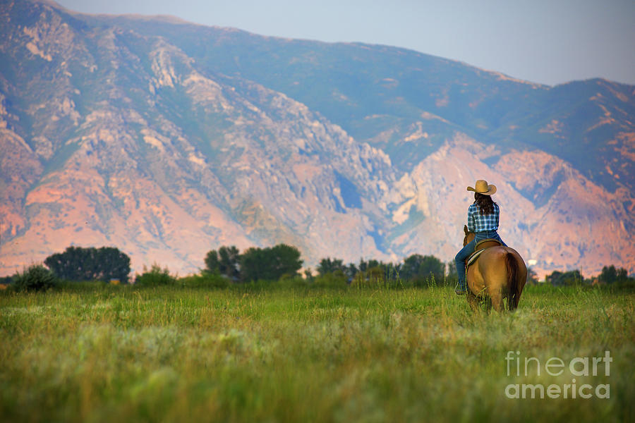 Cowgirl On Horseback Photograph