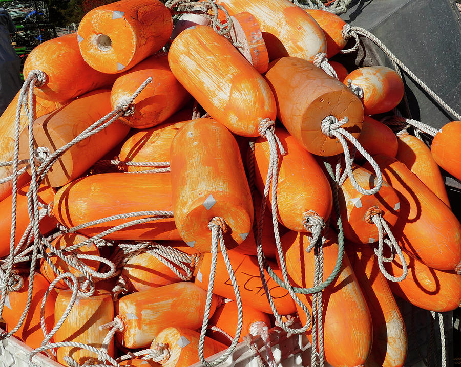 Crab traps and orange floats #1 Photograph by Steve Estvanik