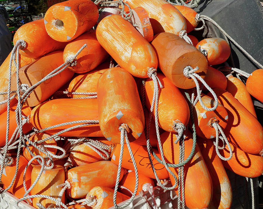 Crab traps and orange floats Photograph by Steve Estvanik Crab traps and orange floats Photograph by Steve Estvanik