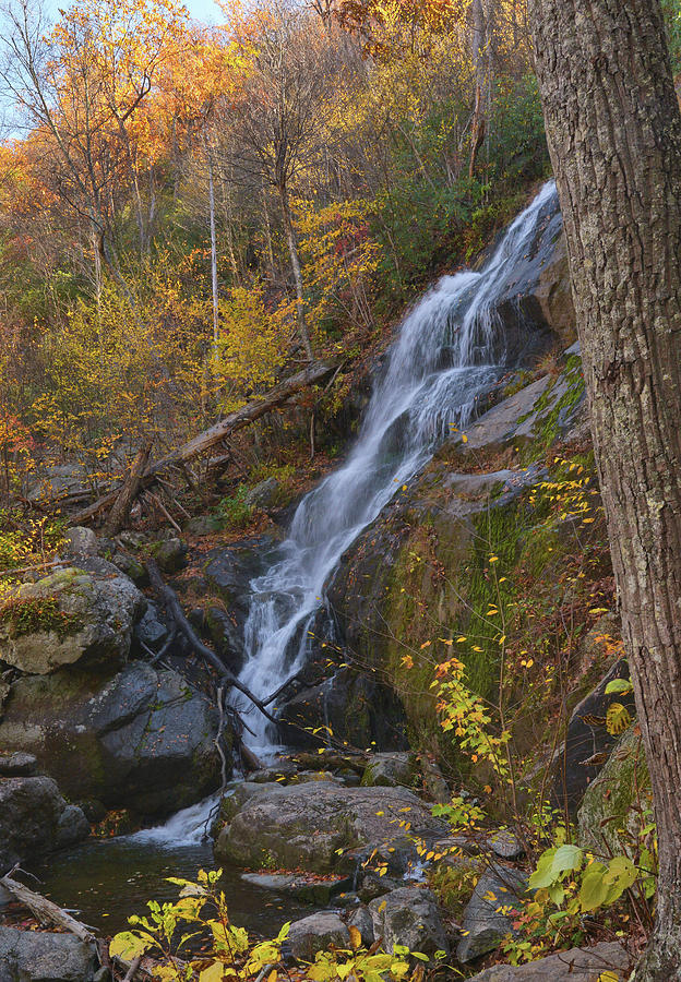 Crabtree Falls In Autumn #1 Photograph by Stephen Vecchiotti