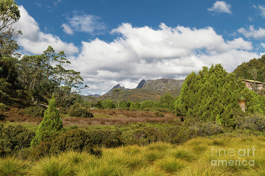 Cradle Mountain, Tasmania, Australia #1 Photograph by Elaine Teague