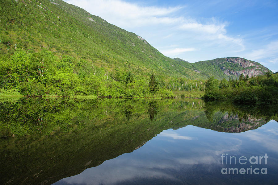 Crawford Notch State Park - White Mountains NH USA #1 Photograph by Erin Paul Donovan
