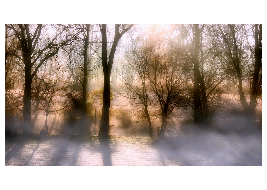 Creek Mist Photograph by David Hutchison