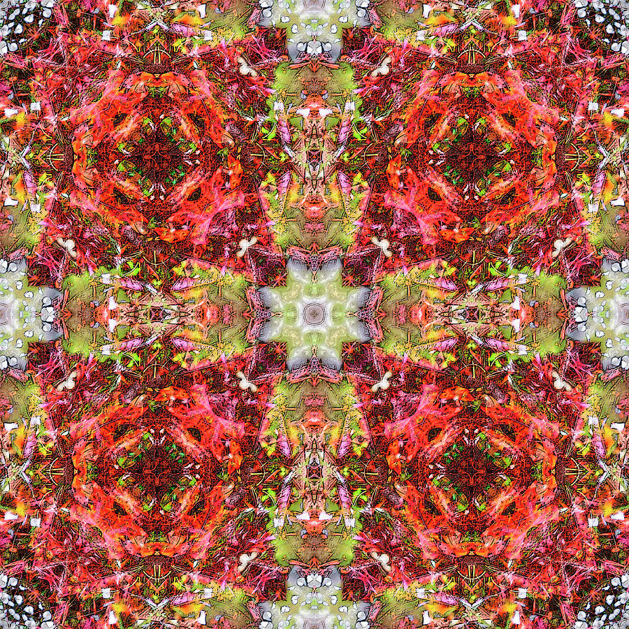 Crimson Quartet #1 Digital Art by Frans Blok