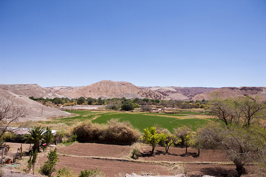 Cropland in San Pedro de Atacama #1 Photograph by claudiio Doenitz