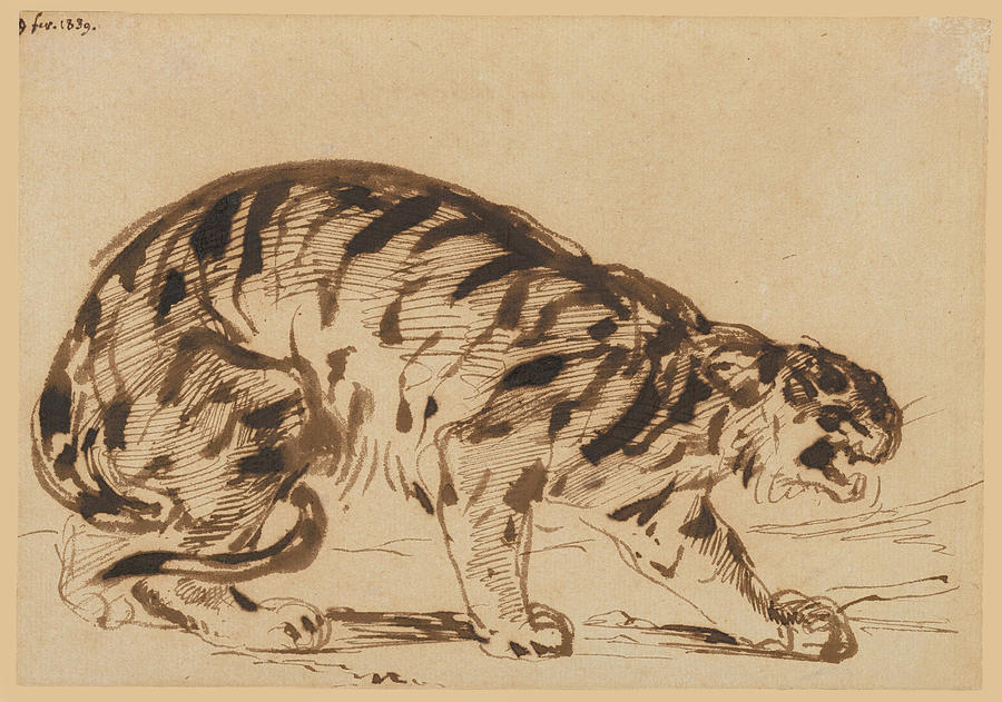 Crouching Tiger #2 Drawing by Eugene Delacroix