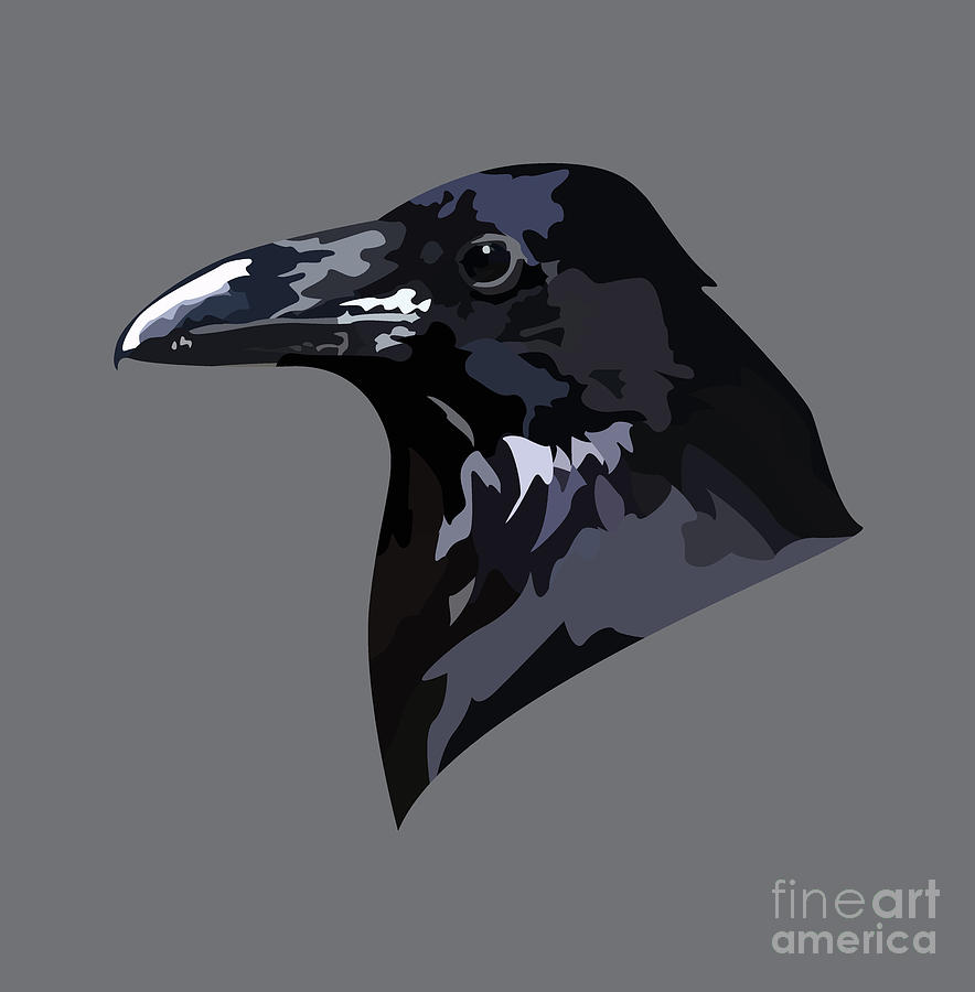 Sketch of beautiful crows, hyper-realistic - AI Generated Artwork -  NightCafe Creator