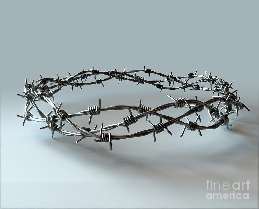 Barbed wire on sale crown