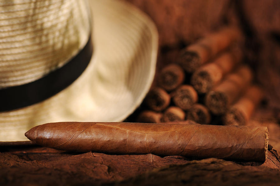 Cuban Cigar #1 Photograph by KieselUndStein