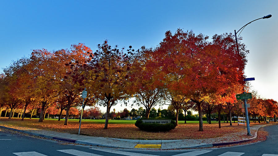 Cupertino Civic Center #1 Photograph by Amazing Action Photo Video