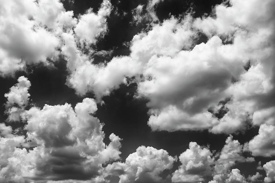 Cypress Clouds - Black and White Photograph by Tanya Owens