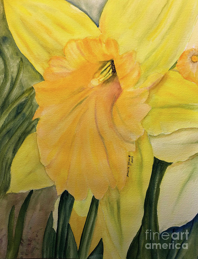 Daffodils #1 Painting by Bonnie Young
