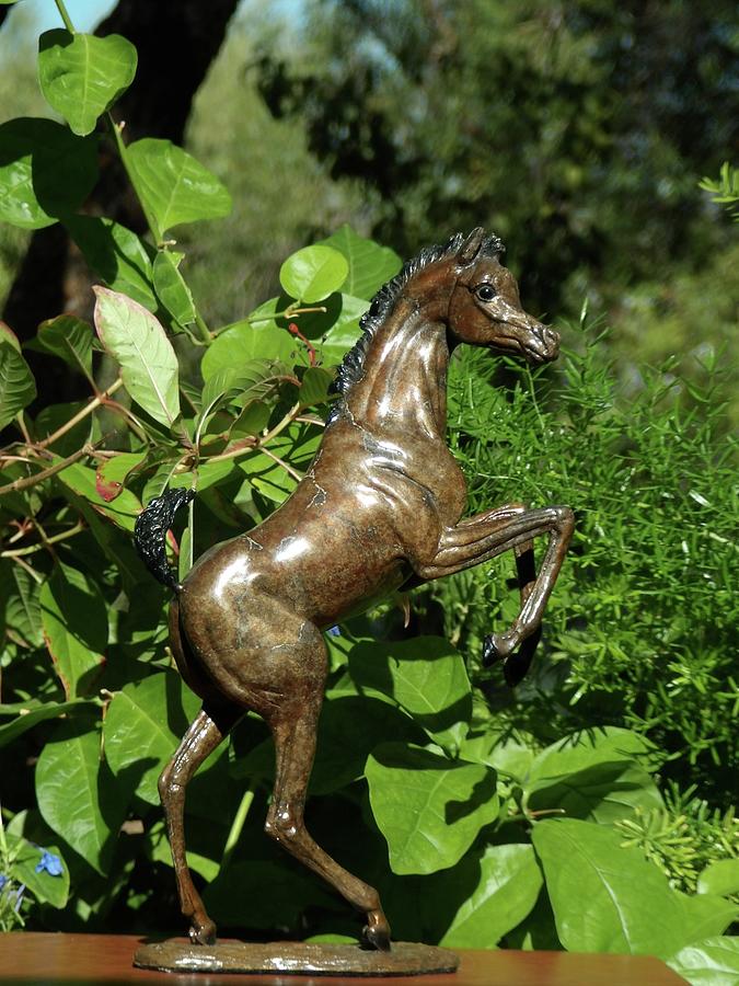 Dainty Dancer - bronze foal  #1 Sculpture by J Anne Butler