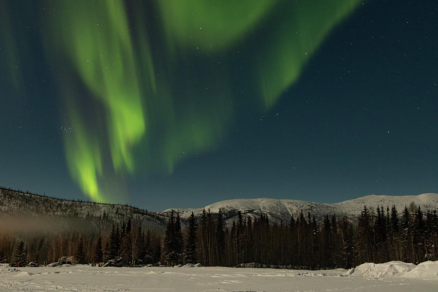 Dancing Northern Lights Photograph by Lois Lake - Fine Art America