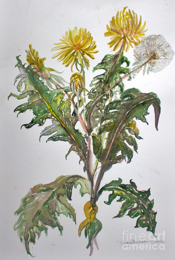 Dandelion #1 Painting by Mindy Newman