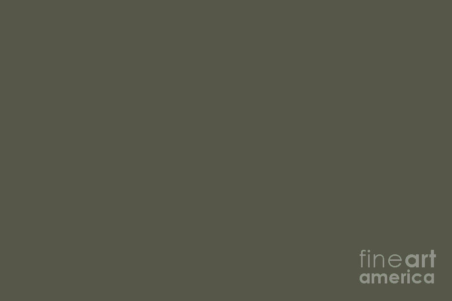 Dark Gray Green Solid Color Pairs Sherwin Williams Roycroft Bronze Green SW 2846 Digital Art by PIPA Fine Art - Simply Solid