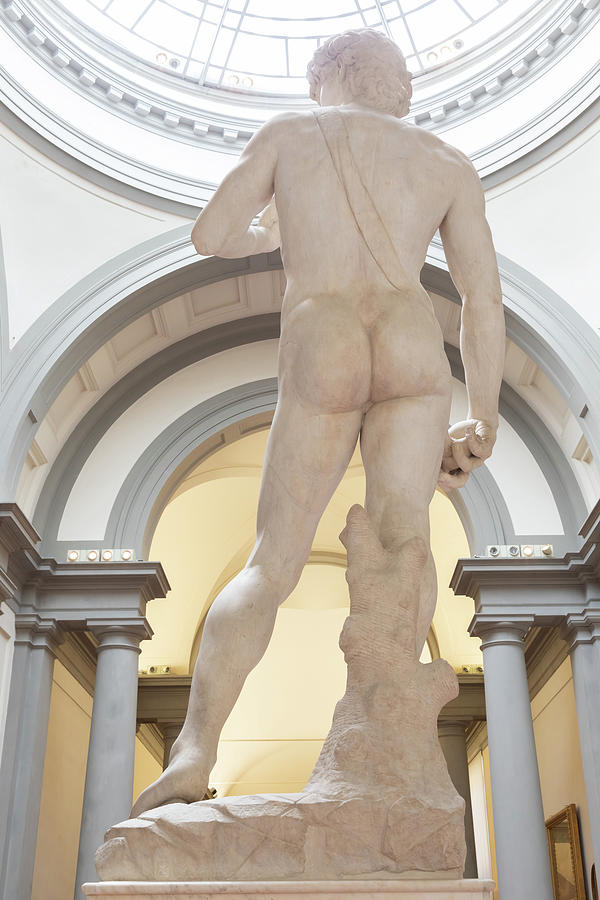 David sculpture by Michelangelo Buonarroti - 1501. The masterpie #1 Photograph by Paolo Modena