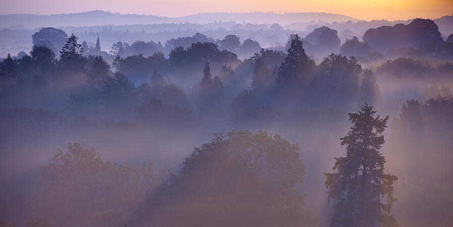 Dawn Mist In The Surrey Hills #1 Photograph by Simonbradfield