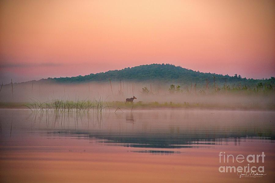 Dawn on Round Pond - Allagash Maine #2 Photograph by Jan Mulherin