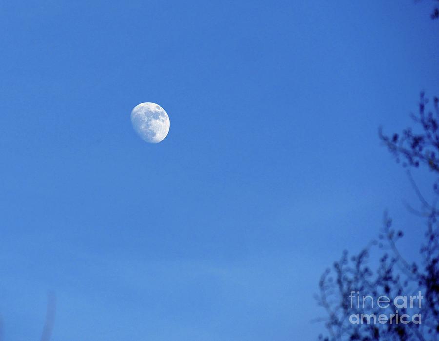 Daytime Moon #1 Photograph by On da Raks