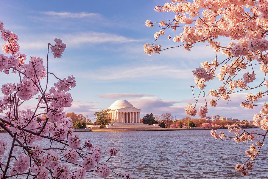 Jefferson Memorial Photograph - DC in the Spring #1 by Andrew Soundarajan