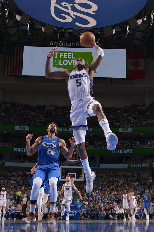 Deaaron Fox #1 Photograph by Glenn James Deaaron Fox #1 Photograph by Glenn James