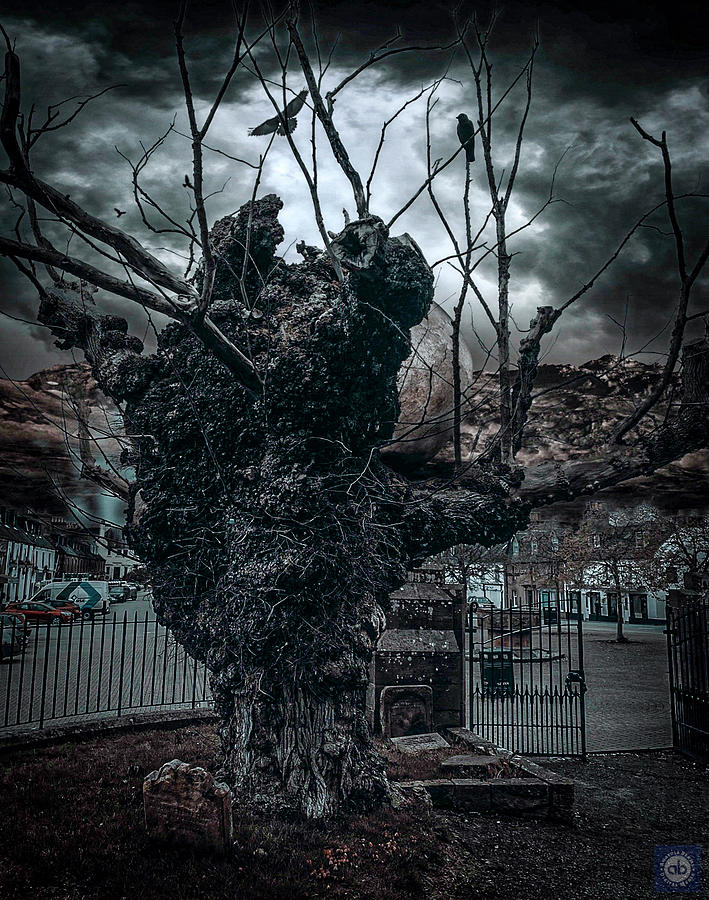 Dead tree #1 Photograph by Anatole Beams